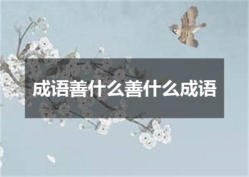 成语善什么善什么成语