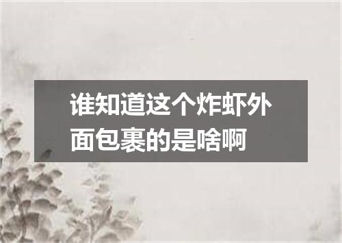 谁知道这个炸虾外面包裹的是啥啊