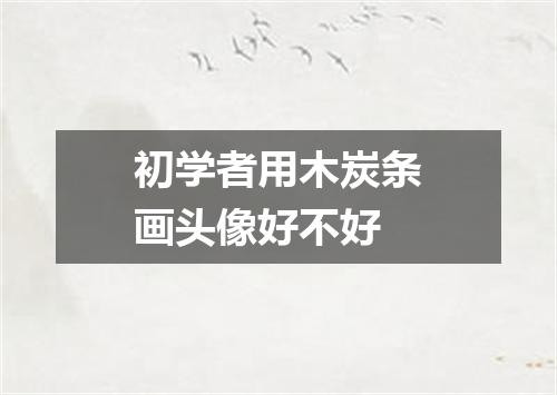 初学者用木炭条画头像好不好