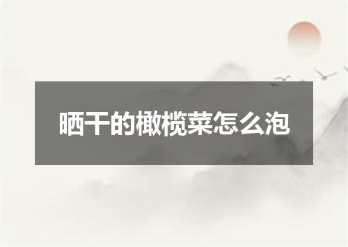 晒干的橄榄菜怎么泡