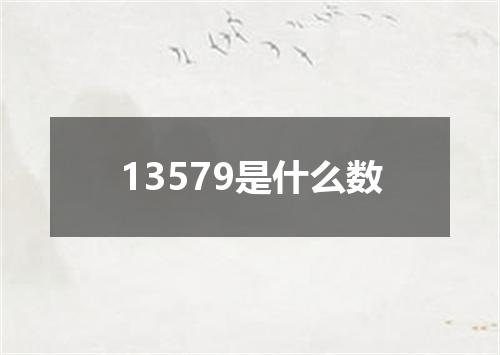 13579是什么数