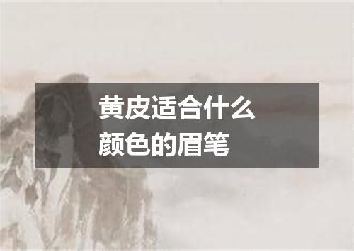 黄皮适合什么颜色的眉笔
