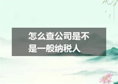 怎么查公司是不是一般纳税人