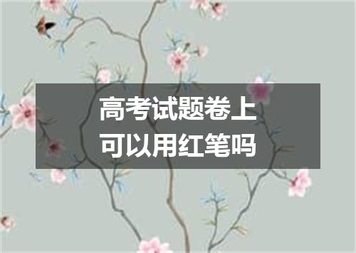 高考试题卷上可以用红笔吗