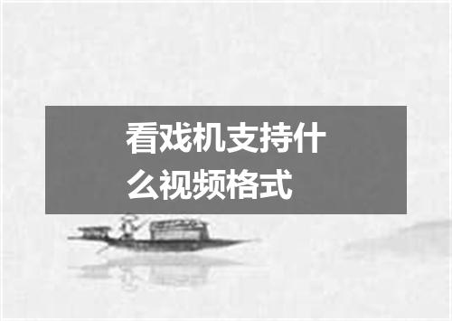 看戏机支持什么视频格式