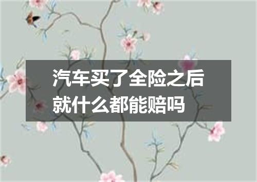 汽车买了全险之后就什么都能赔吗