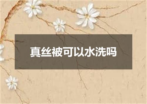 真丝被可以水洗吗