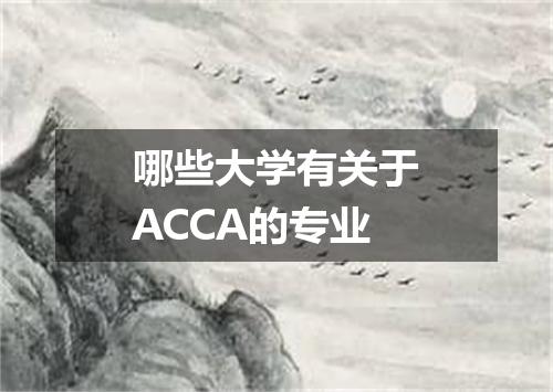 哪些大学有关于ACCA的专业