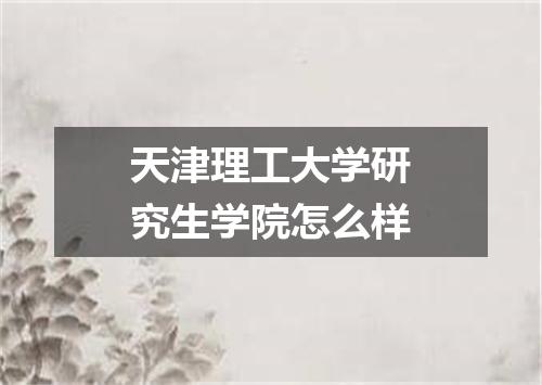 天津理工大学研究生学院怎么样