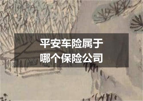 平安车险属于哪个保险公司