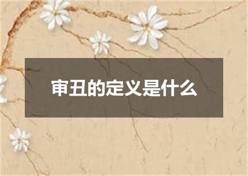 审丑的定义是什么