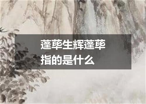 蓬荜生辉蓬荜指的是什么