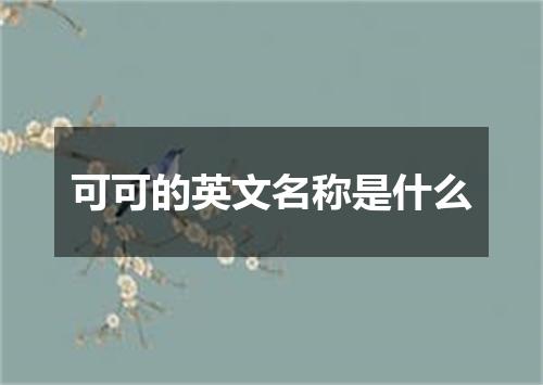 可可的英文名称是什么