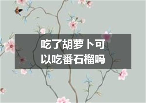 吃了胡萝卜可以吃番石榴吗