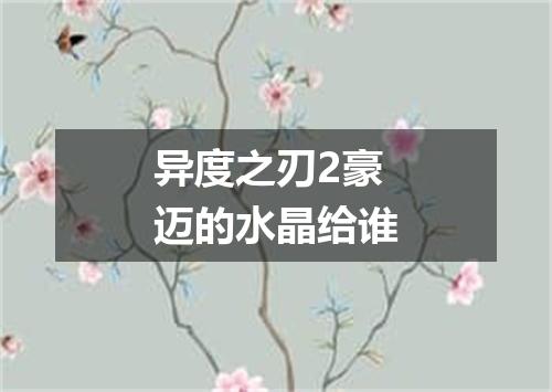 异度之刃2豪迈的水晶给谁