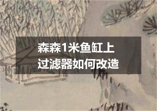 森森1米鱼缸上过滤器如何改造
