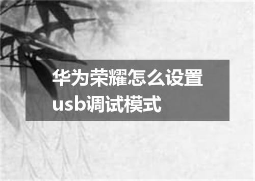 华为荣耀怎么设置usb调试模式
