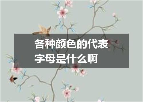各种颜色的代表字母是什么啊