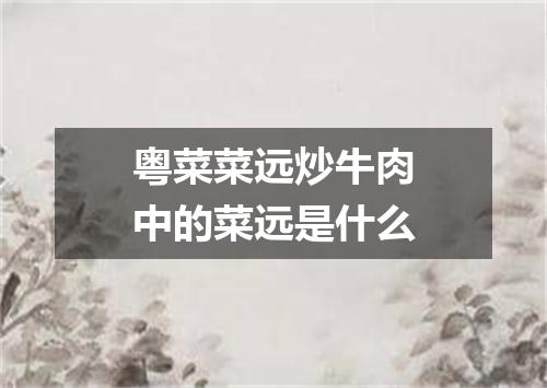 粤菜菜远炒牛肉中的菜远是什么