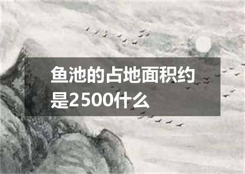 鱼池的占地面积约是2500什么
