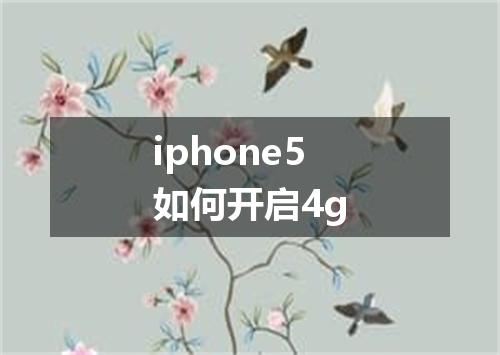 iphone5如何开启4g