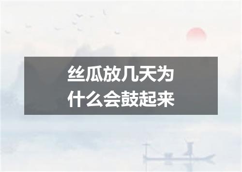 丝瓜放几天为什么会鼓起来