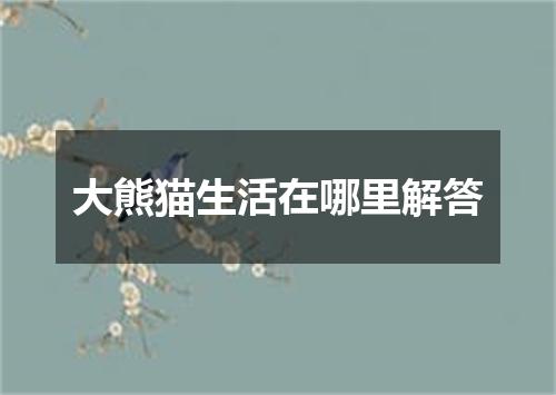 大熊猫生活在哪里解答