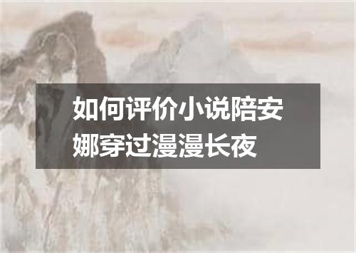 如何评价小说陪安娜穿过漫漫长夜