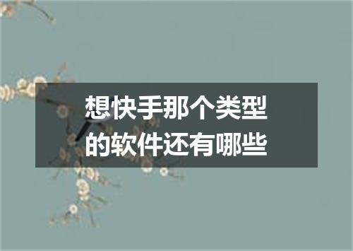 想快手那个类型的软件还有哪些