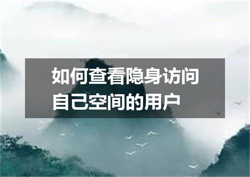 如何查看隐身访问自己空间的用户