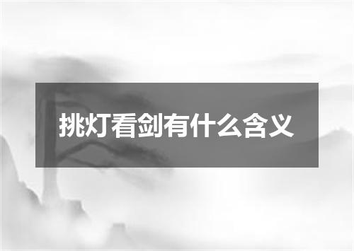 挑灯看剑有什么含义