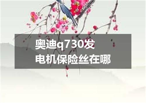奥迪q730发电机保险丝在哪
