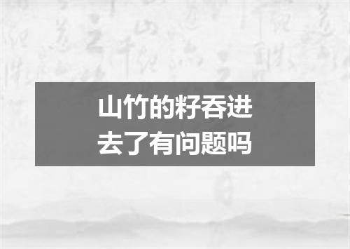 山竹的籽吞进去了有问题吗