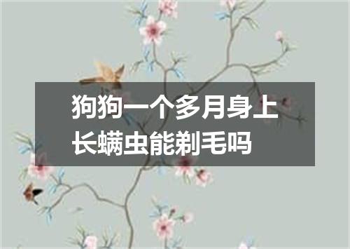 狗狗一个多月身上长螨虫能剃毛吗