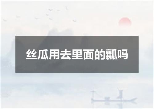 丝瓜用去里面的瓤吗