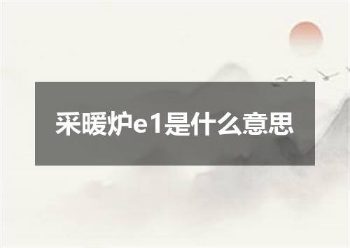采暖炉e1是什么意思