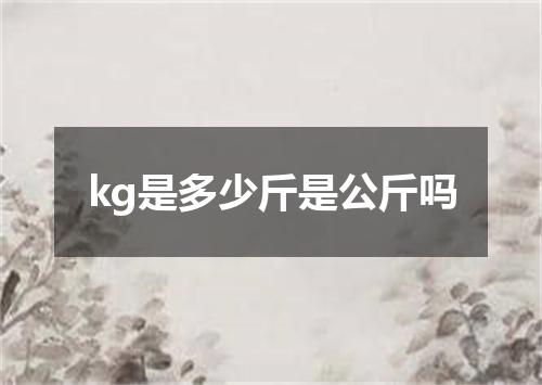 kg是多少斤是公斤吗