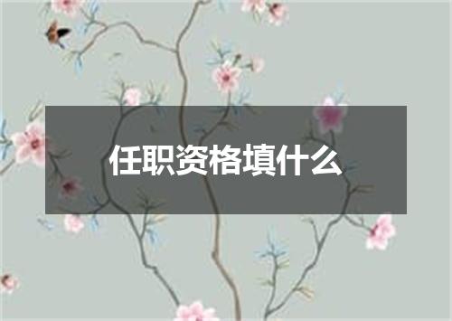 任职资格填什么