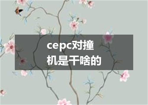 cepc对撞机是干啥的