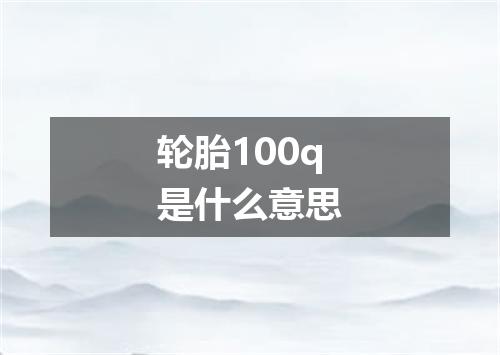 轮胎100q是什么意思