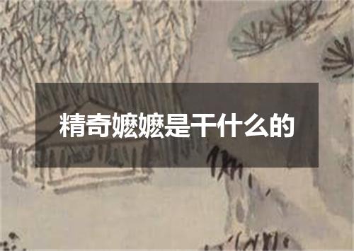 精奇嬷嬷是干什么的
