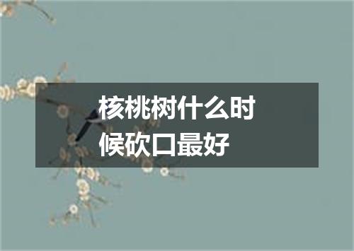 核桃树什么时候砍口最好