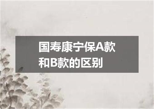 国寿康宁保A款和B款的区别