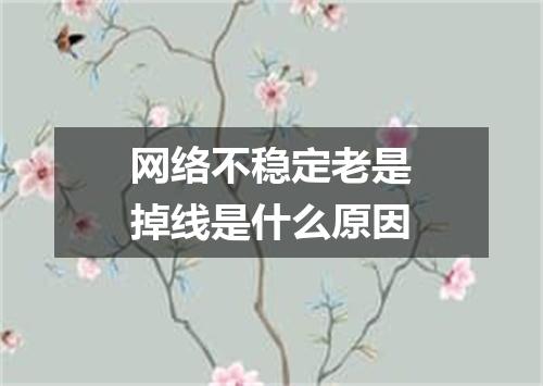 网络不稳定老是掉线是什么原因