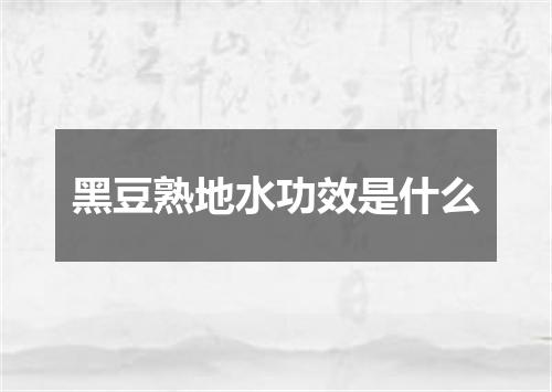 黑豆熟地水功效是什么