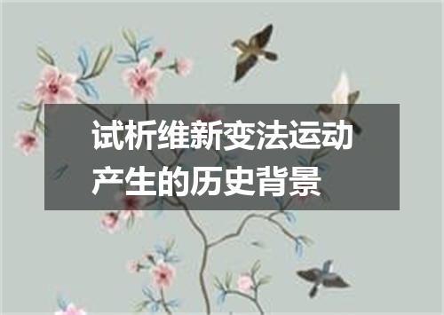 试析维新变法运动产生的历史背景