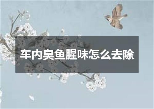 车内臭鱼腥味怎么去除