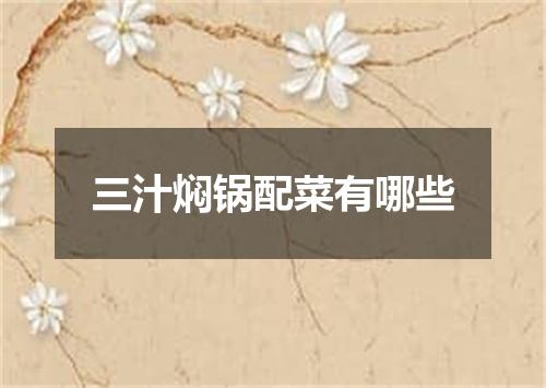 三汁焖锅配菜有哪些