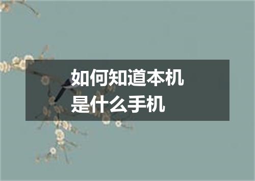 如何知道本机是什么手机