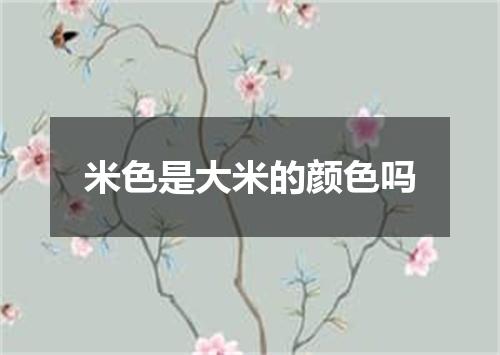 米色是大米的颜色吗